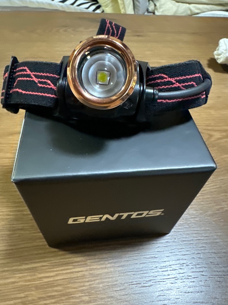 GENTOS Gシリーズ ヘッドライト GH-110RG Gシリーズ アウトドア