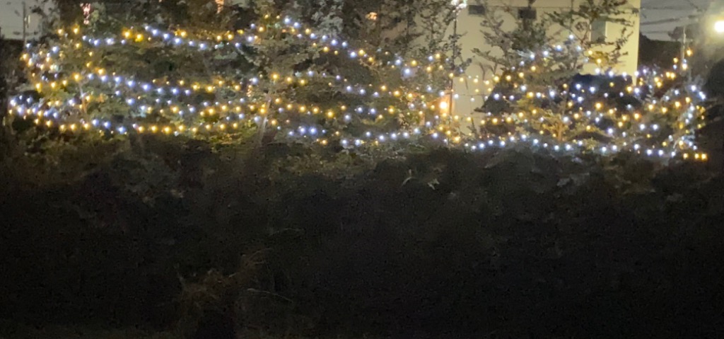 全体のレビュー画像 | 7-0