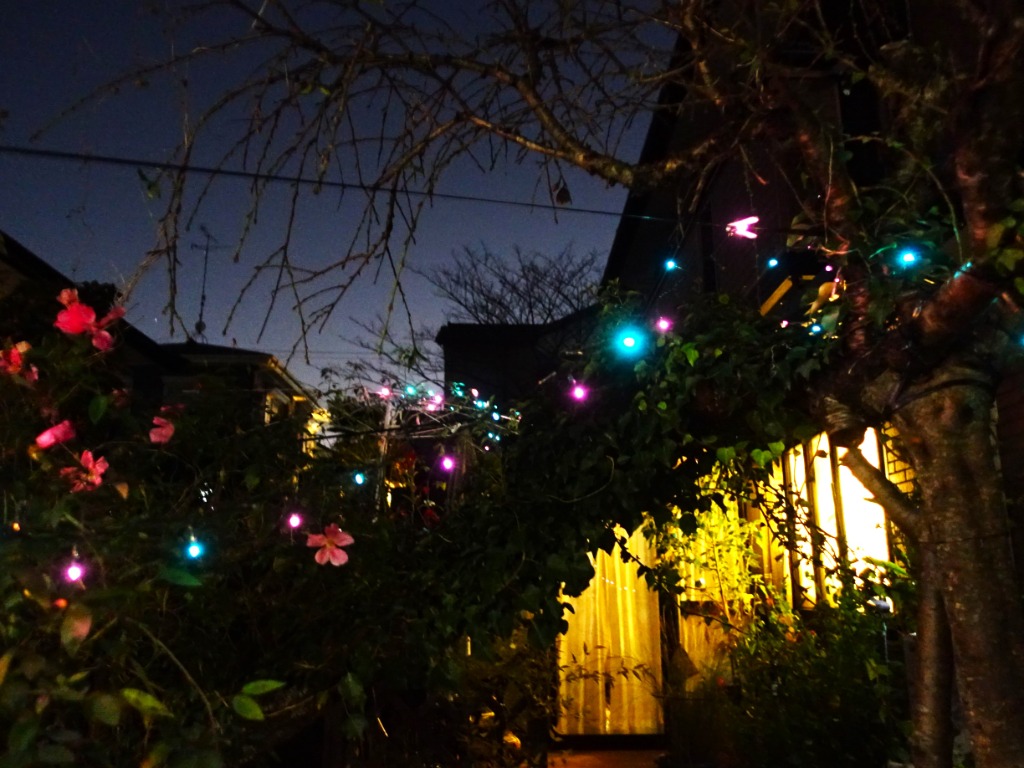 全体のレビュー画像 | 5-3