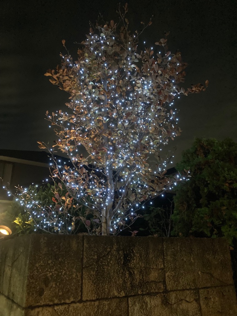 全体のレビュー画像 | 6-1