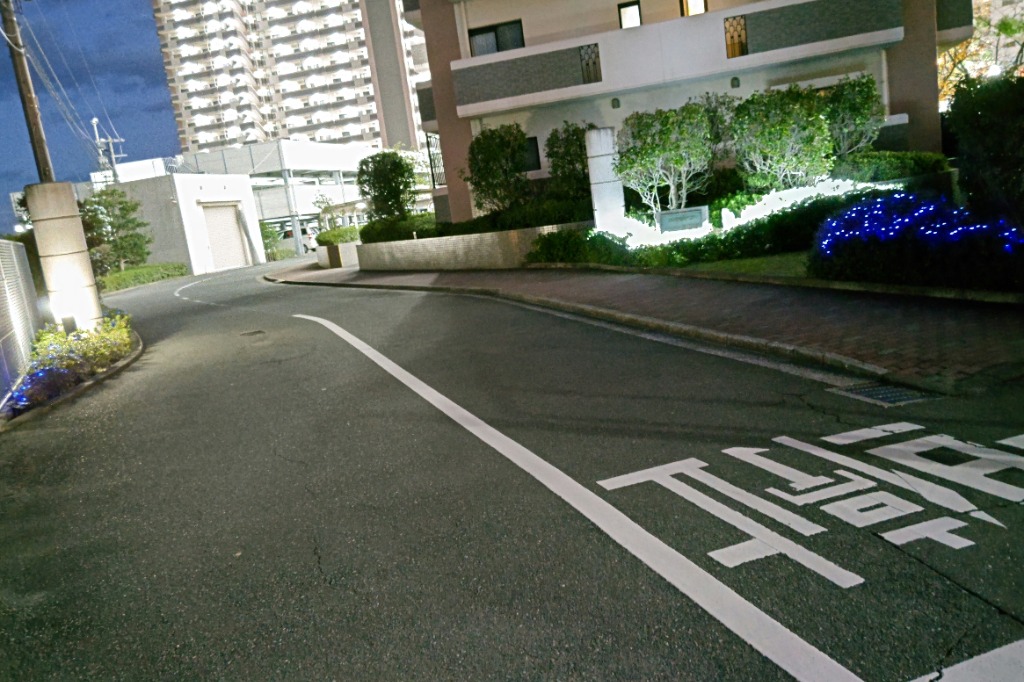 全体のレビュー画像 | 1-0