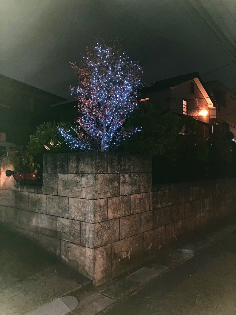 全体のレビュー画像 | 6-0