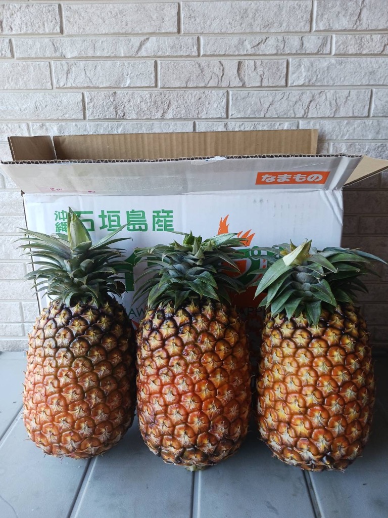 最高級パイン！石垣島ゴールドバレル大玉6kg3〜5玉 送料無料 : 果物