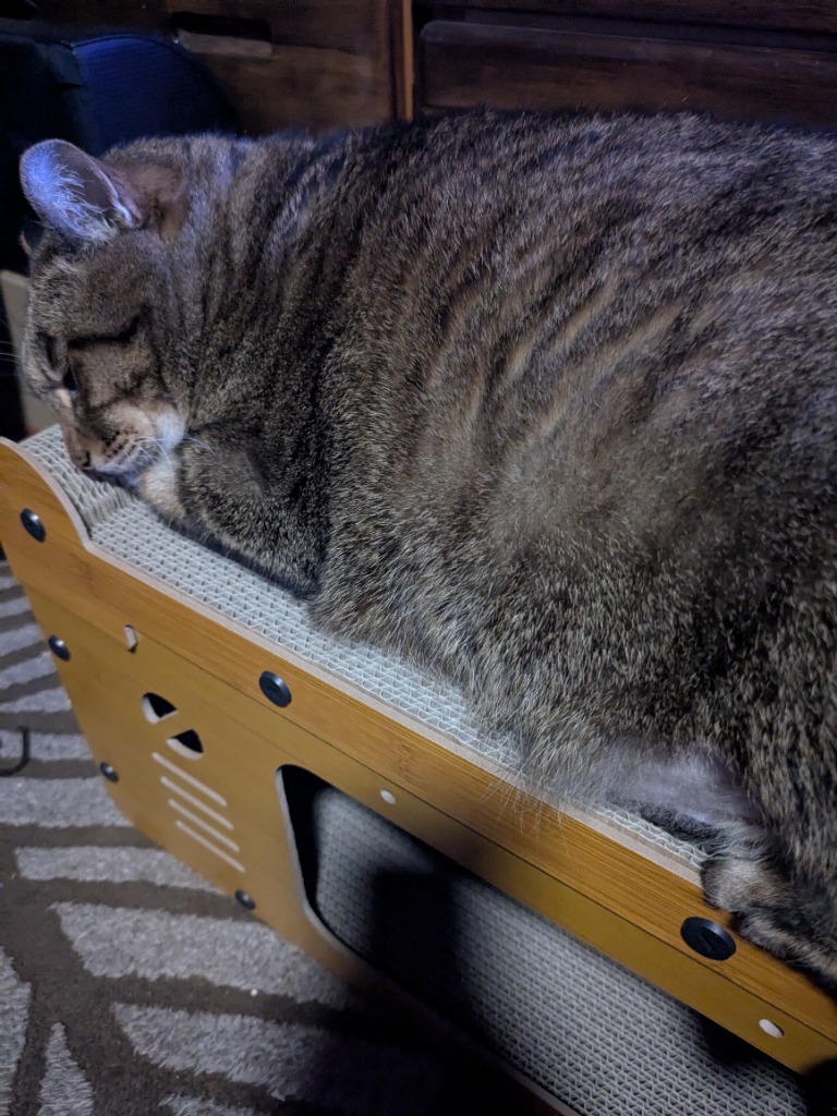 レビュー画像