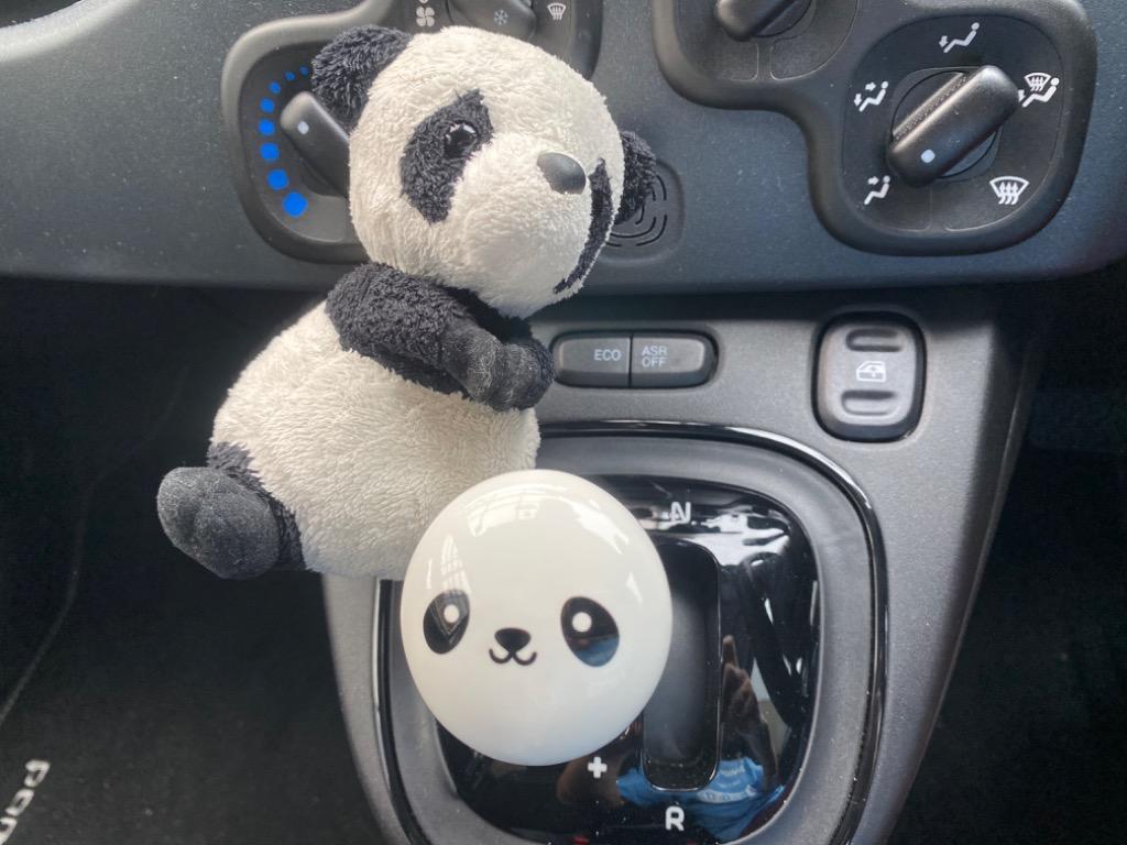 パンダ　デュアロジック FIAT フィアット デュアロジック専用 ウッドシフトノブ(Panda no