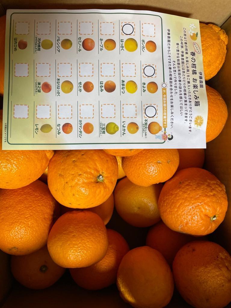2箱購入で送料無料 みかん フルーツ 詰め合わせ かんきつ類 訳あり 2kg みかん 和歌山 自宅用 柑橘類 旬 Zzz2 9 伊藤農園 ジュースと果実 Yahoo 店 通販 Yahoo ショッピング 2箱購入で送料無料 みかん フルーツ 詰め合わせ かんきつ類 訳あり 2kg みかん 和歌山 自宅用 柑橘類 旬 Zzz2 9 伊藤農園 ジュースと果実 Yahoo 店 通販 Yahoo ショッピング