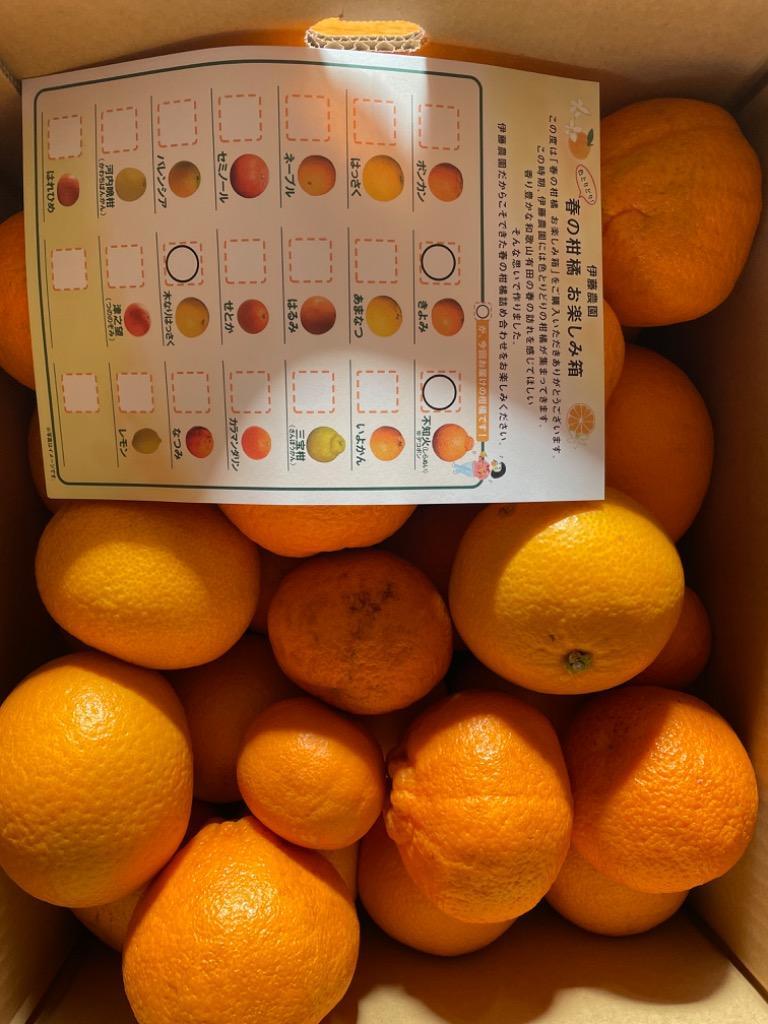 2箱購入で送料無料 みかん フルーツ 詰め合わせ かんきつ類 訳あり 2kg みかん 和歌山 自宅用 柑橘類 旬 Zzz2 9 伊藤農園 ジュースと果実 Yahoo 店 通販 Yahoo ショッピング 2箱購入で送料無料 みかん フルーツ 詰め合わせ かんきつ類 訳あり 2kg みかん 和歌山 自宅用 柑橘類 旬 Zzz2 9 伊藤農園 ジュースと果実 Yahoo 店 通販 Yahoo ショッピング