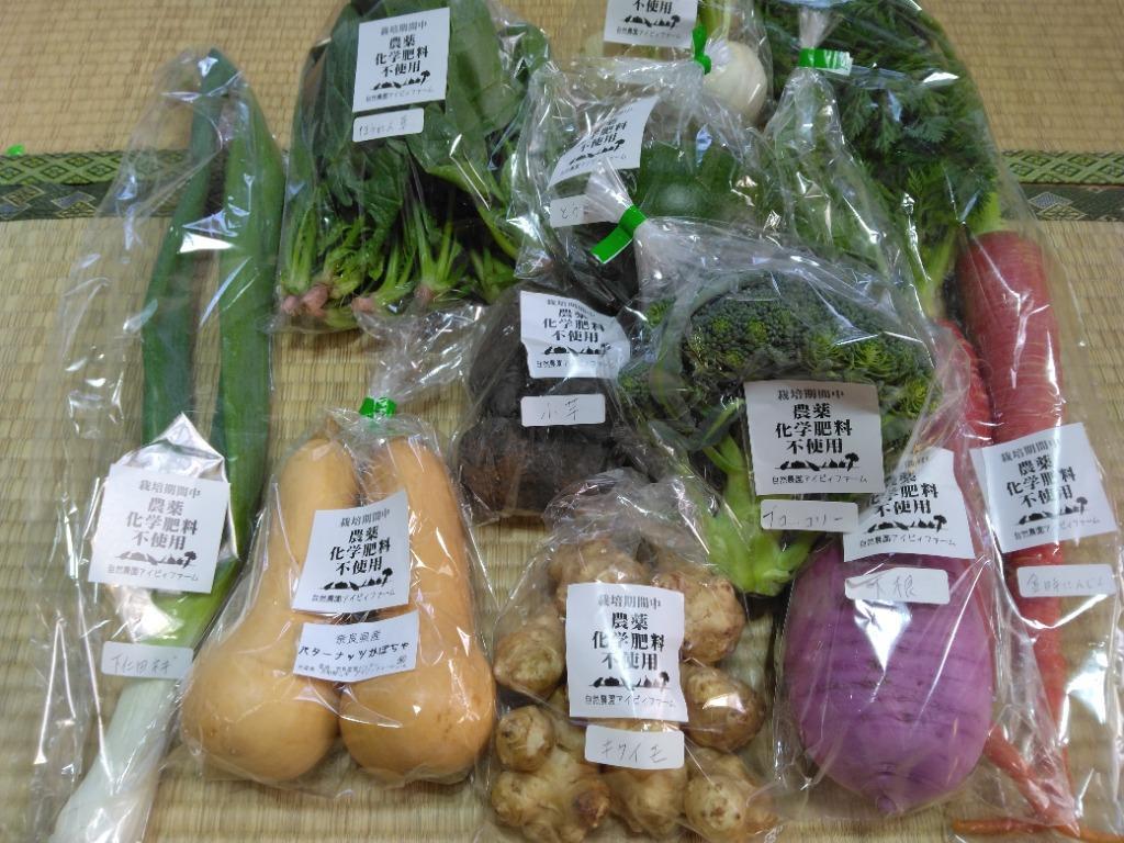 無農薬・無化学肥料栽培と減農薬野菜 旬の野菜セット 6-7品目 農園直送 送料無料 :pay7dw02a6:有機自然農園アイビィファーム - 通販 -  Yahoo!ショッピング