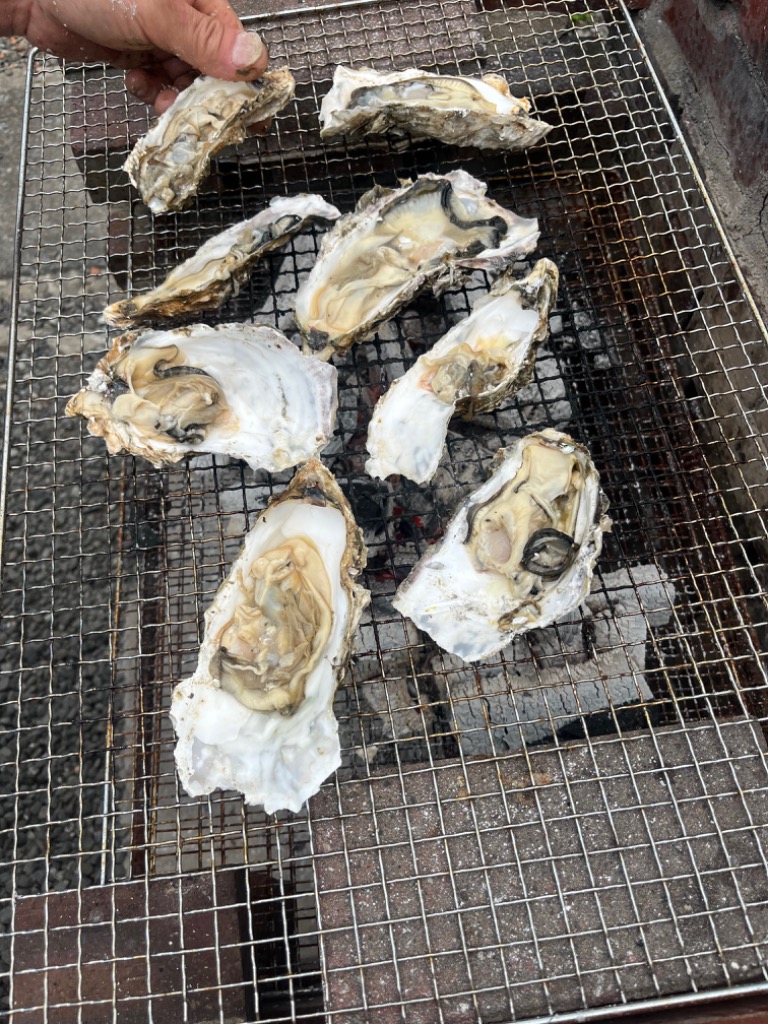 全体のレビュー画像 | 0-0