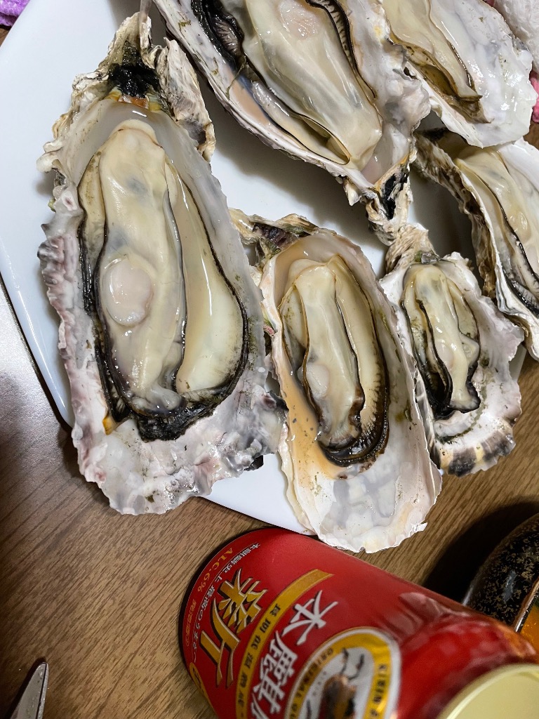 全体のレビュー画像 | 1-1