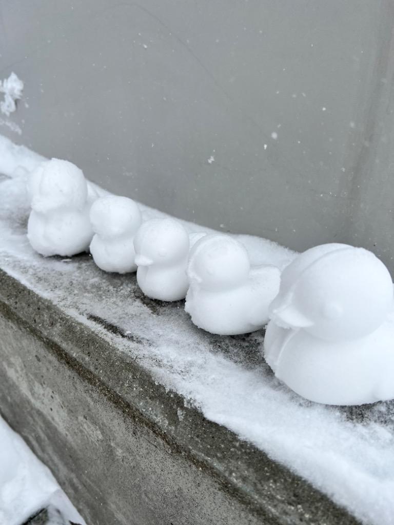 全体のレビュー画像 | 1-0