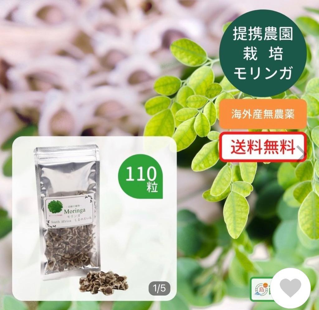 モリンガ種 100~110粒 無農薬 - ハーブ