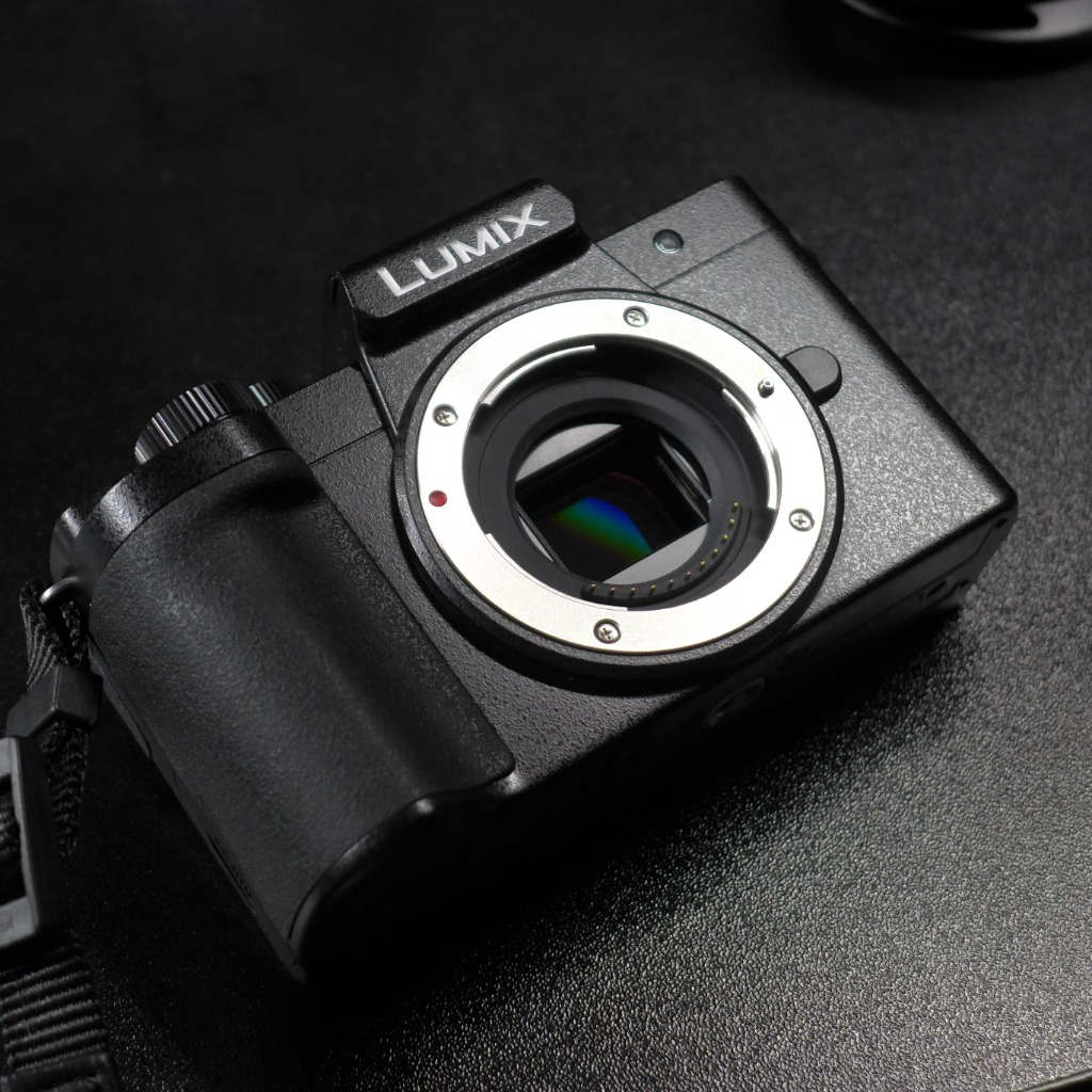 LUMIX Panasonic パナソニック ミラーレス一眼カメラ DC-G100D