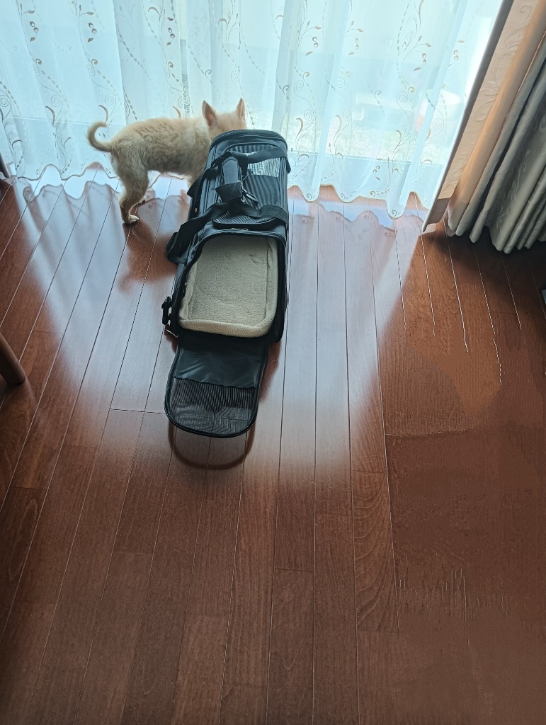 ペットキャリー ペットキャリーバッグ 折りたたみ バッグ 2way