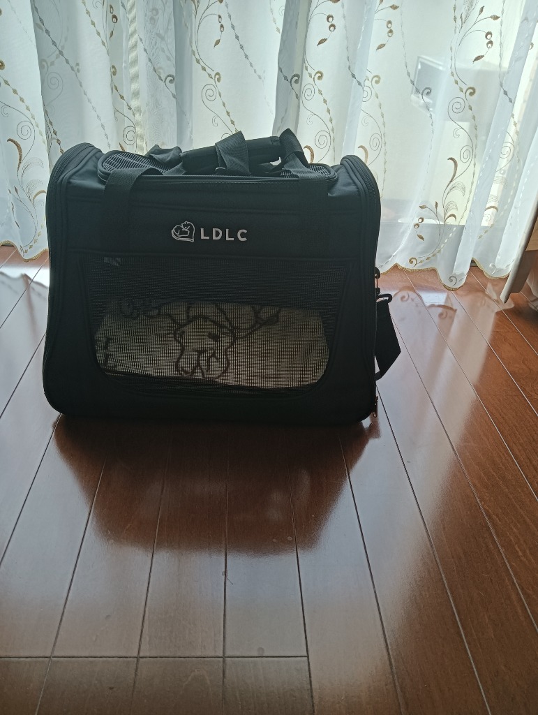 ペットキャリー ペットキャリーバッグ 折りたたみ バッグ 2way