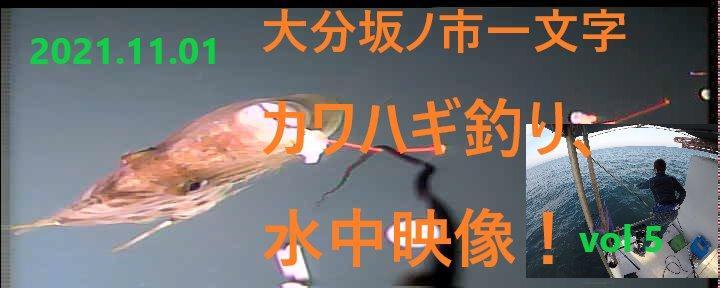 水中カメラ 30灯LED 50mケーブル 7インチカラーモニター 水中カメラ 30灯LED 50mケーブル 7インチカラーモニター