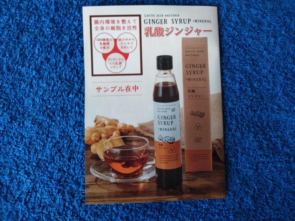 生姜シロップ 乳酸ジンジャー 10ml×3包 お試し サンプル 乳酸菌 ジンジャーシロップ :g25:ミネラル本舗 - 通販 -  Yahoo!ショッピング