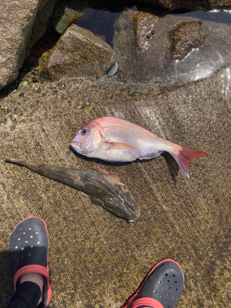 1件目のレビュー画像 | 0