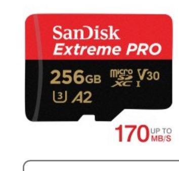 マイクロsdカード microSDXCカード 256GB SanDisk V30 A2 R:200MB/s W 