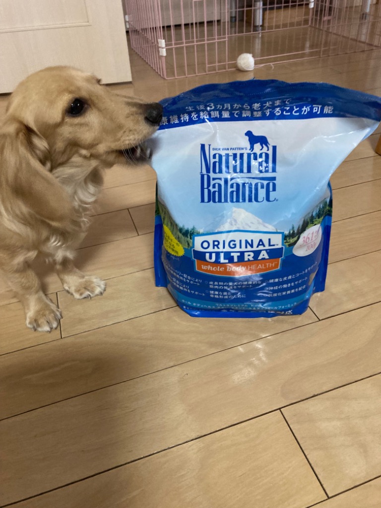 Natural Balance ドッグフード Amazon.co.jp: ナチュラルバランス ホールボディヘルス 小粒