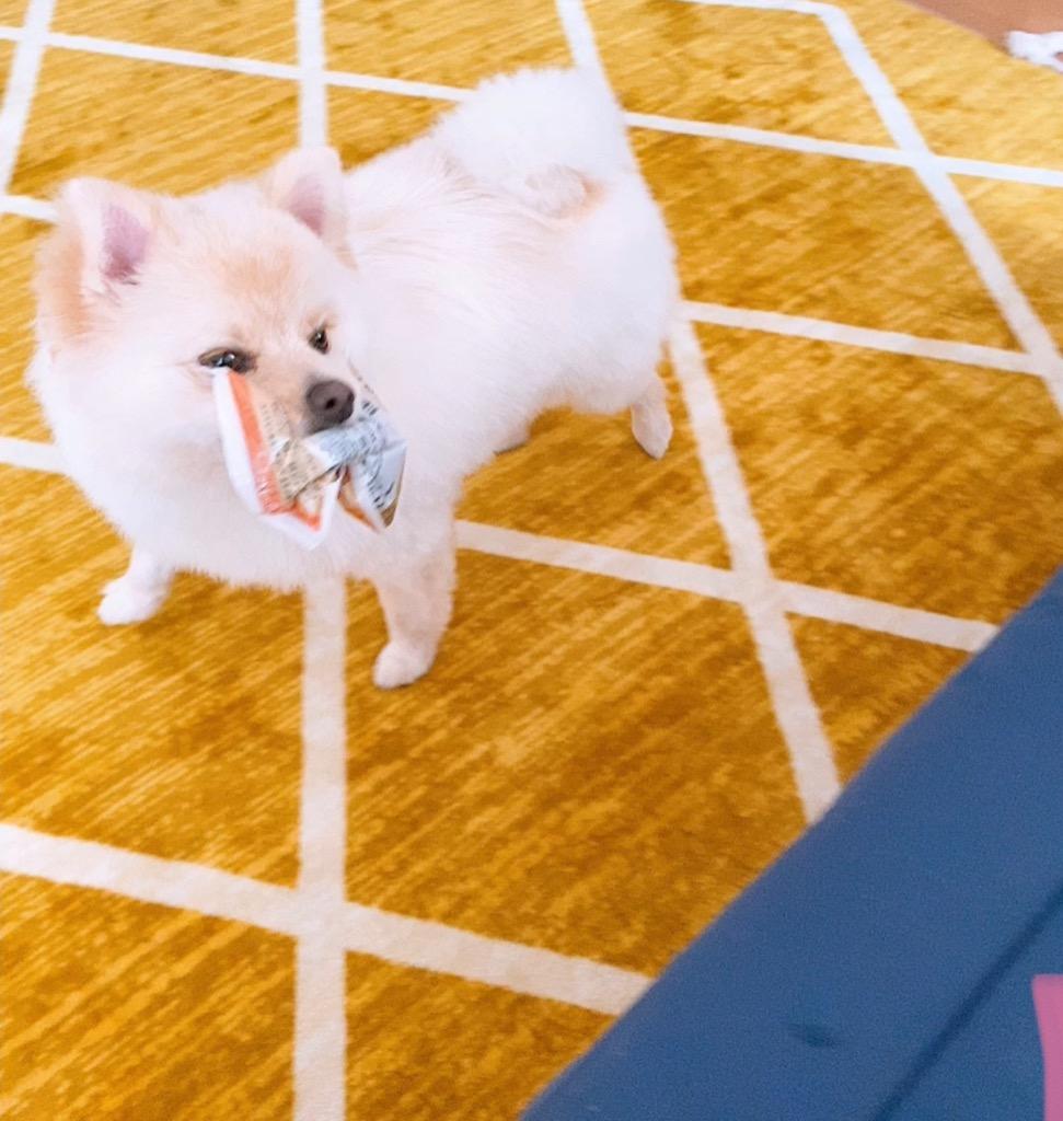 全体のレビュー画像 | 13-0