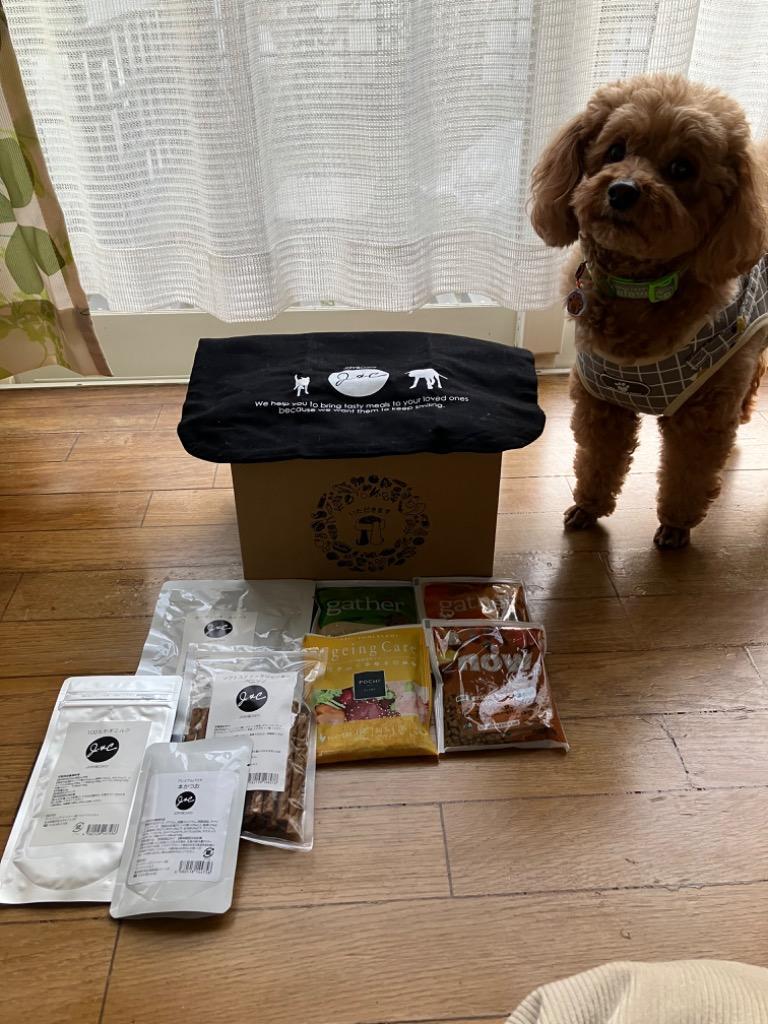 全体のレビュー画像 | 6-1