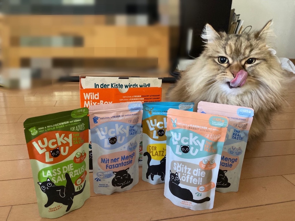 キャットフード＋鯛パウダー ラッキールー アダルト ワイルドミックス 125g×6 キャットフード