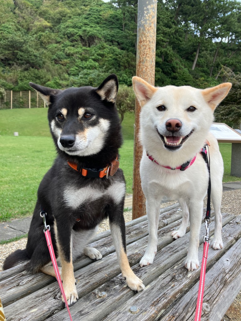 1件目のレビュー画像 | 0