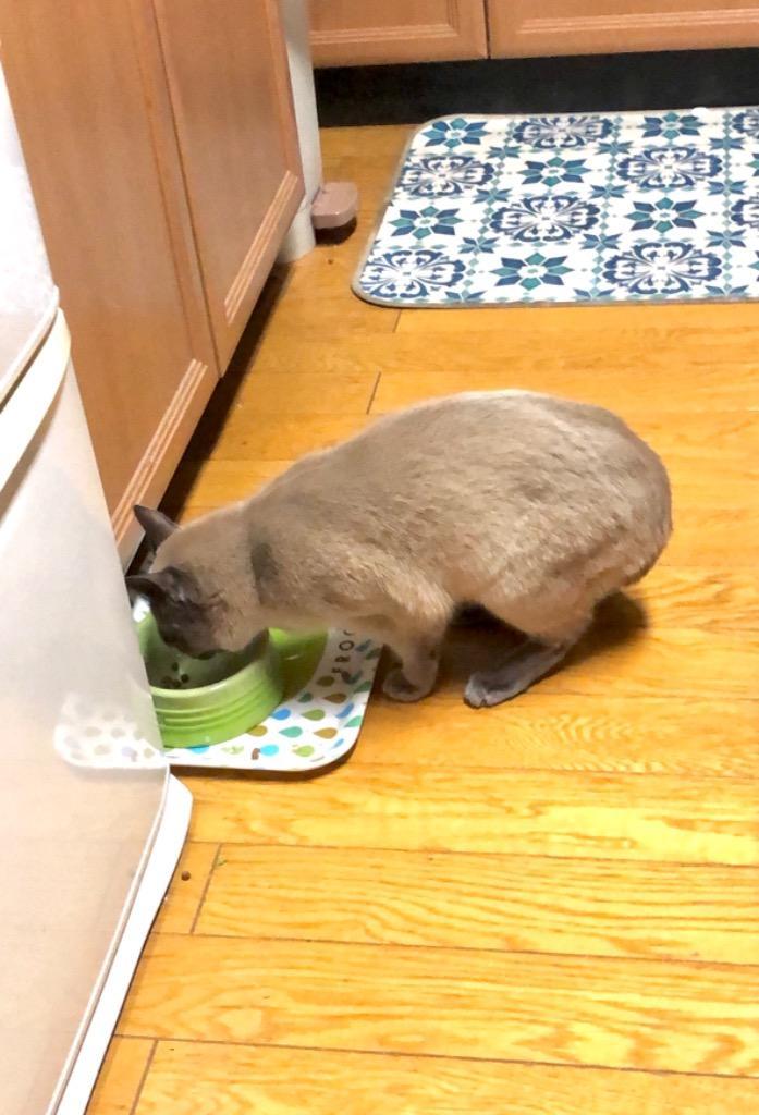 1件目のレビュー画像 | 0