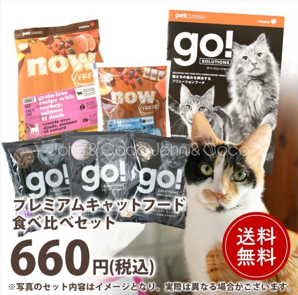 新品未開封モグニャン プレミアムキャットフード⒈5Kg(2個セット) 楽天市場】【公式】モグニャンキャットフード （1.5kg）全猫種 全年齢