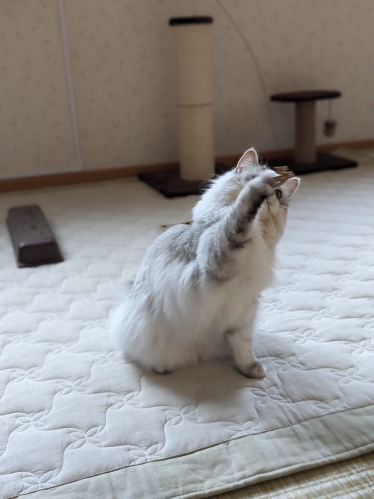 2件目のレビュー画像 | 2