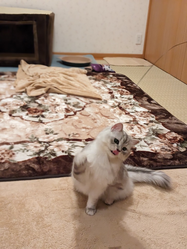 4件目のレビュー画像 | 2