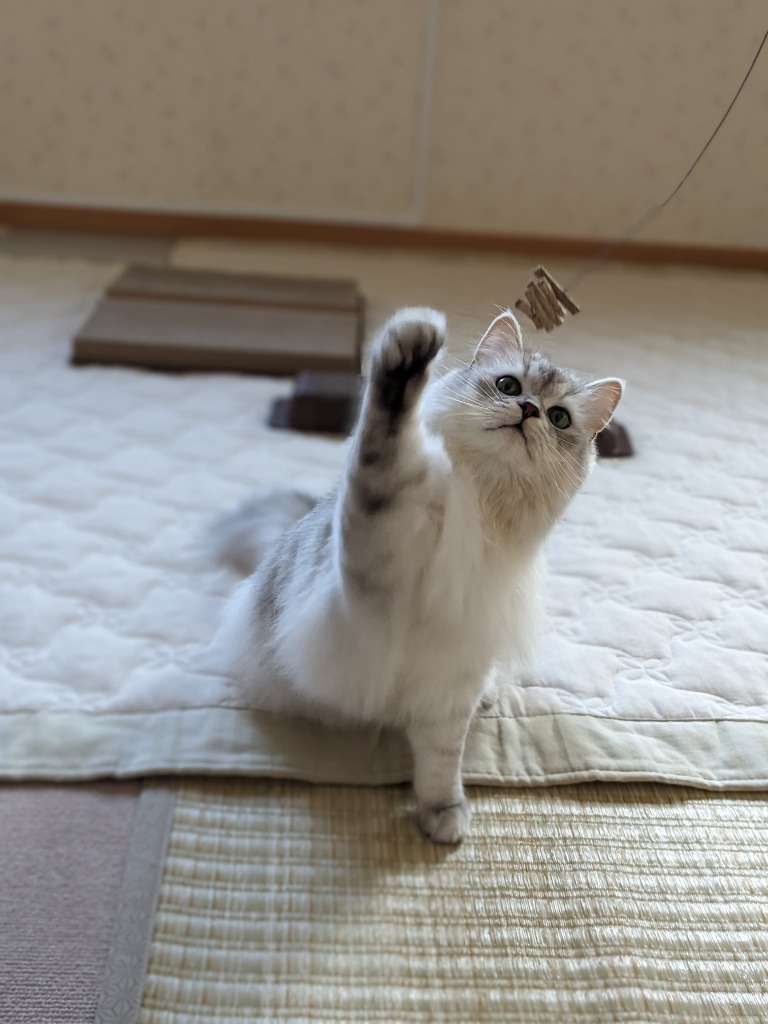 1件目のレビュー画像 | 1