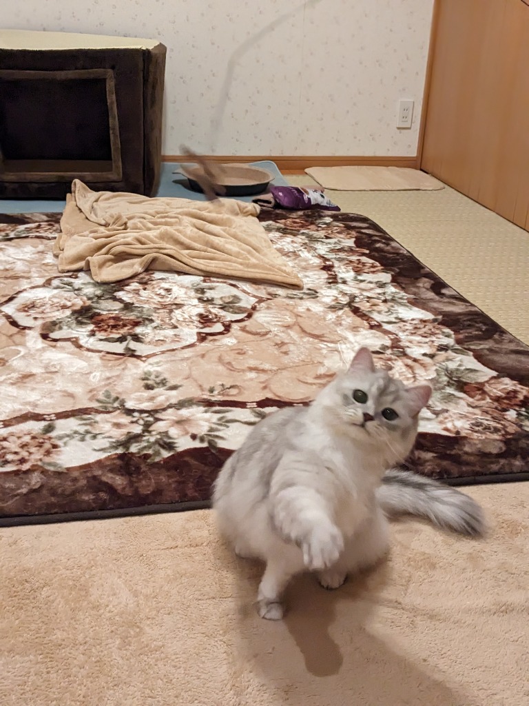 4件目のレビュー画像 | 1