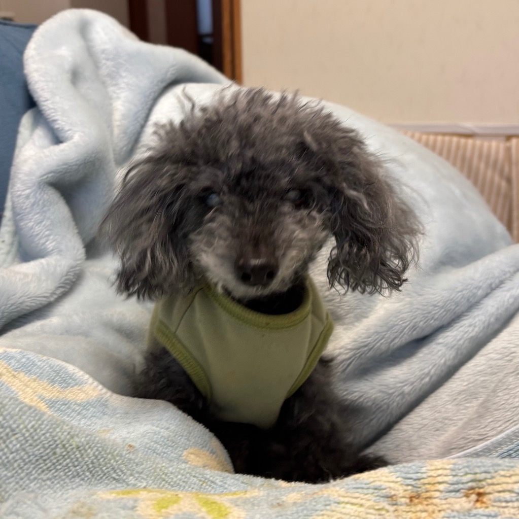 1件目のレビュー画像 | 2