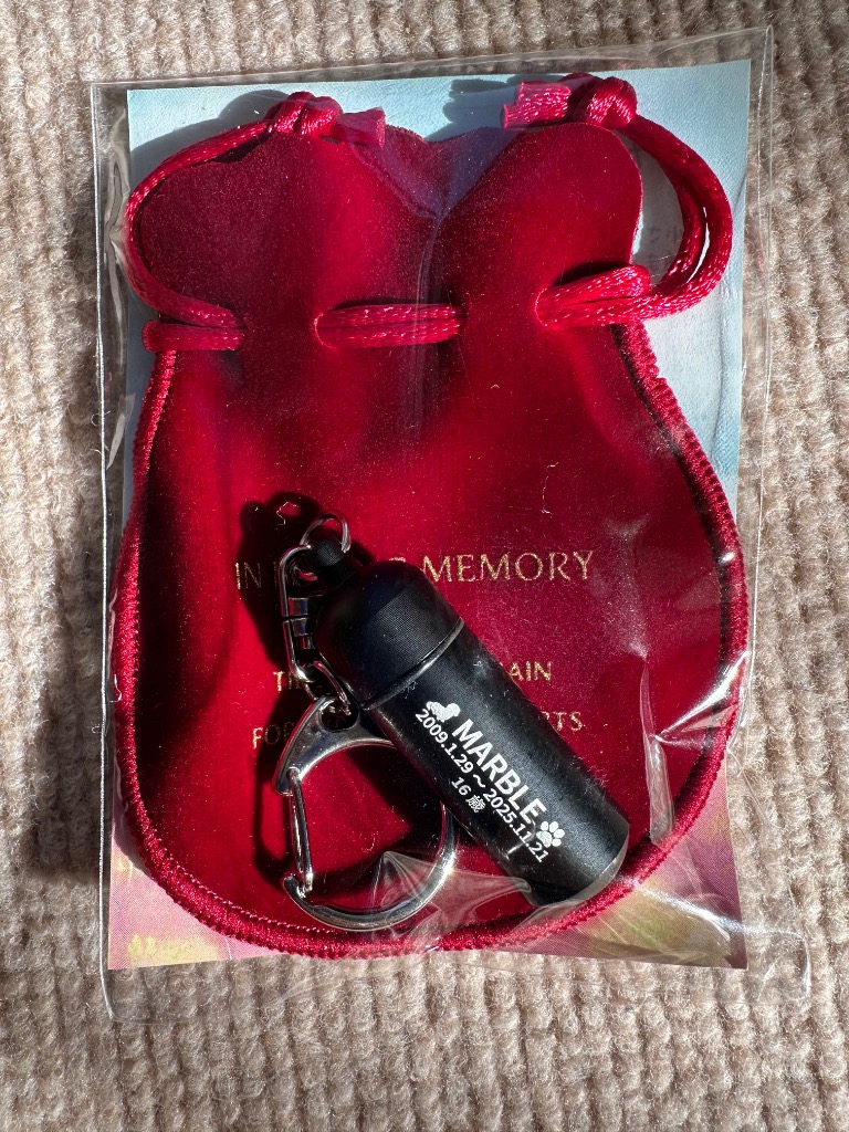 1件目のレビュー画像 | 0