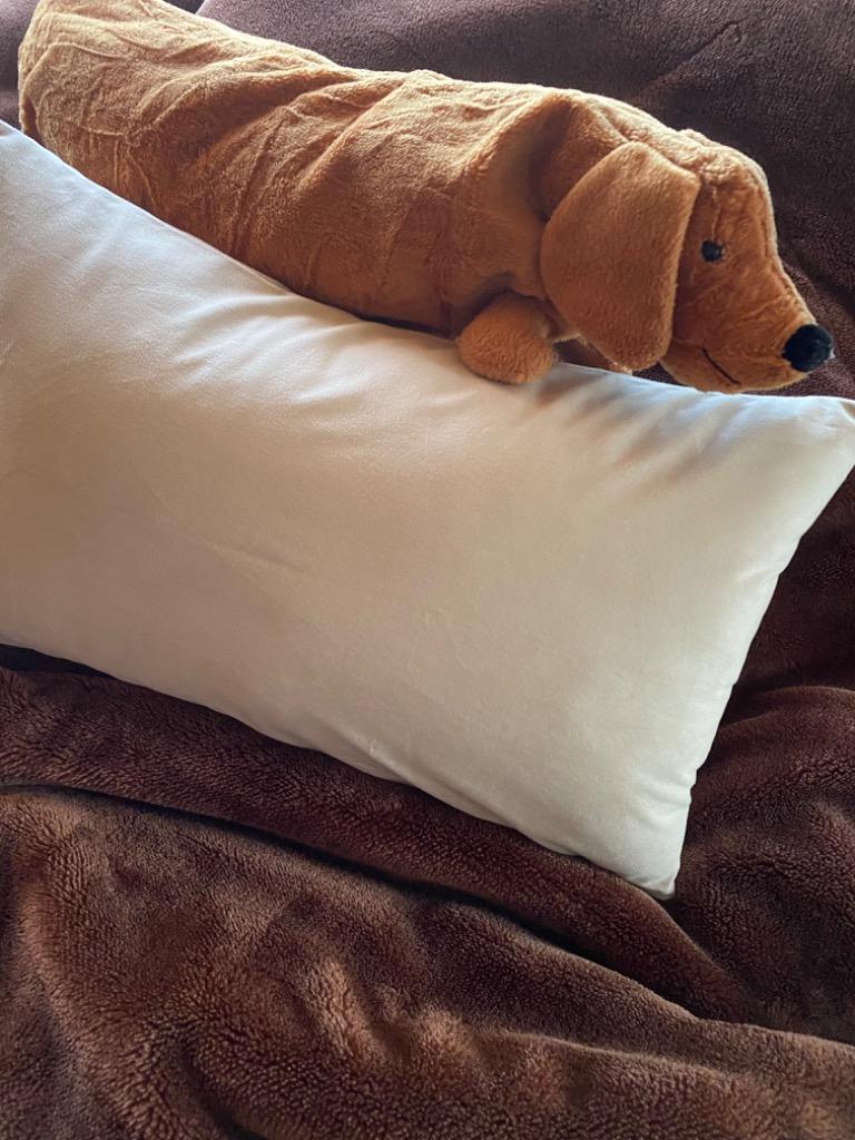 1件目のレビュー画像 | 1