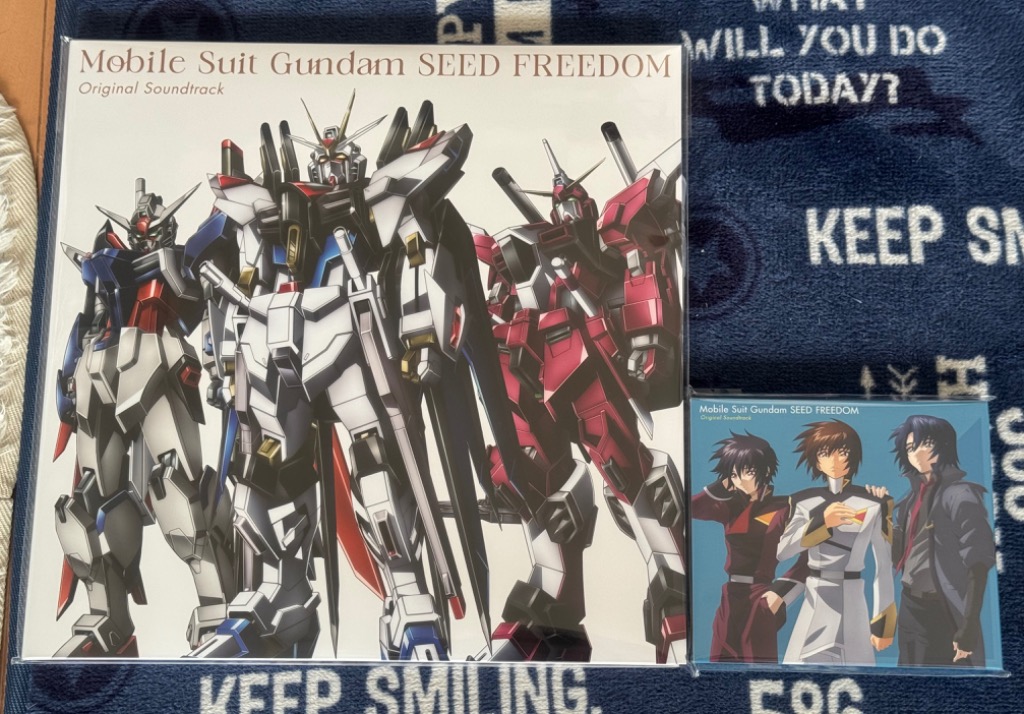 枚数限定][限定]『機動戦士ガンダムSEED FREEDOM』オリジナル