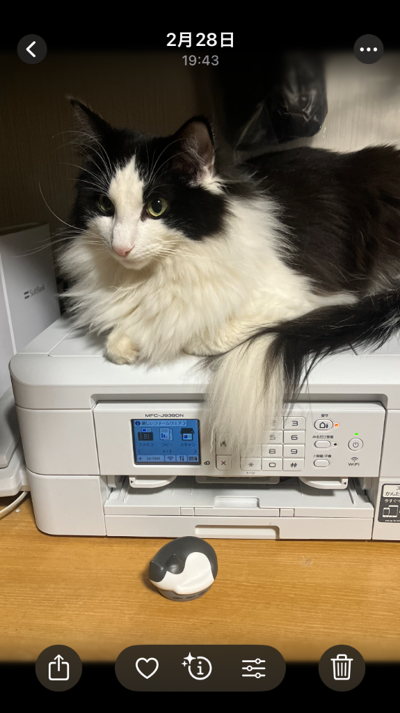 レビュー画像