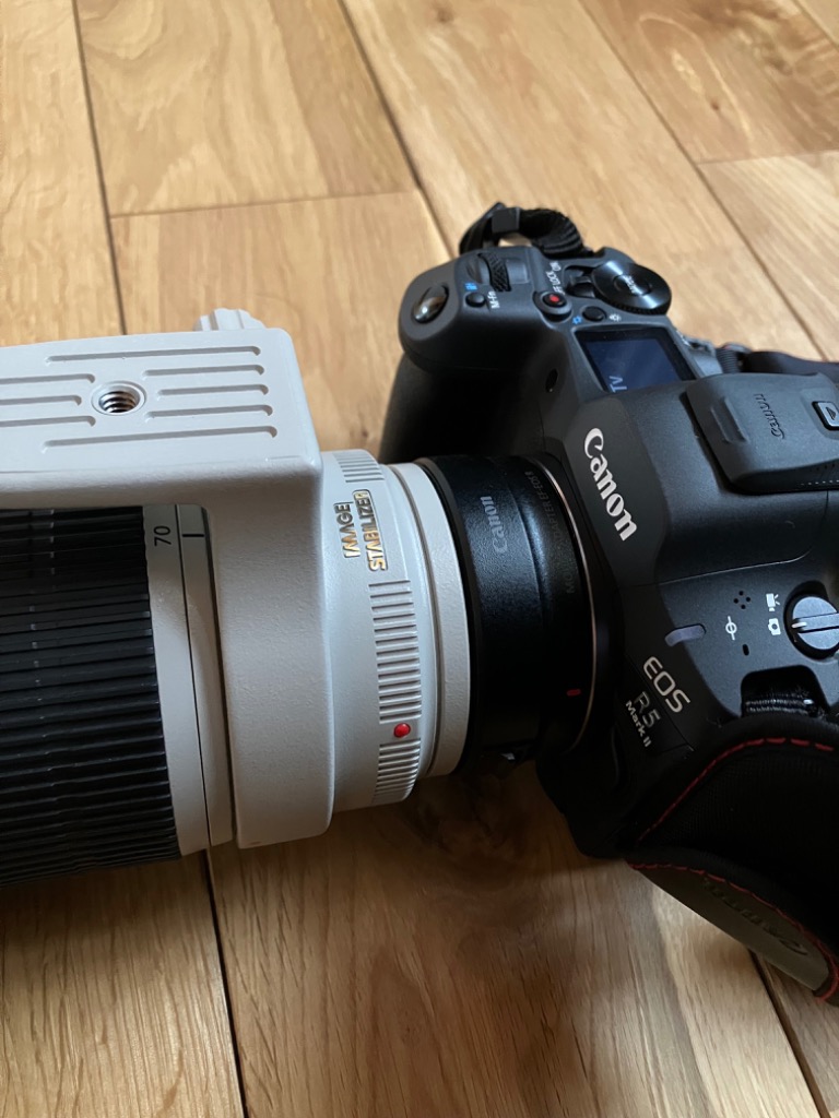 ⭐️美品⭐️Canon EFS 75-300 II & EF-EOS R アダプター ⭐️美
