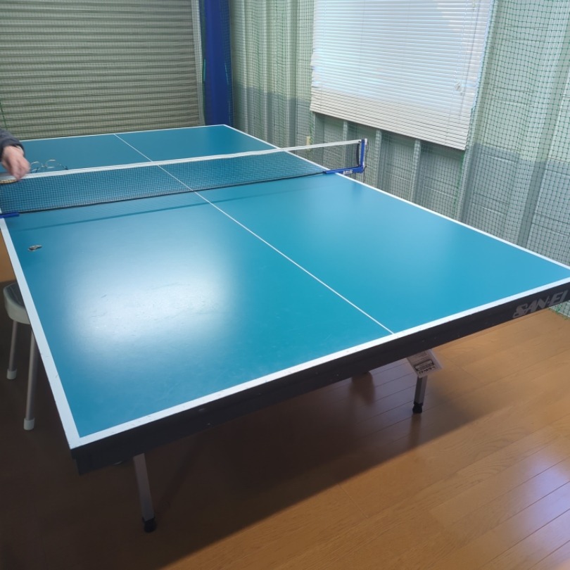 ディグニクス09c 赤　トクアツ　特厚　新品　卓球ラバー　バタフライ バタフライ ディグニクス05 06040 スポンジ厚：2.1、トクアツ