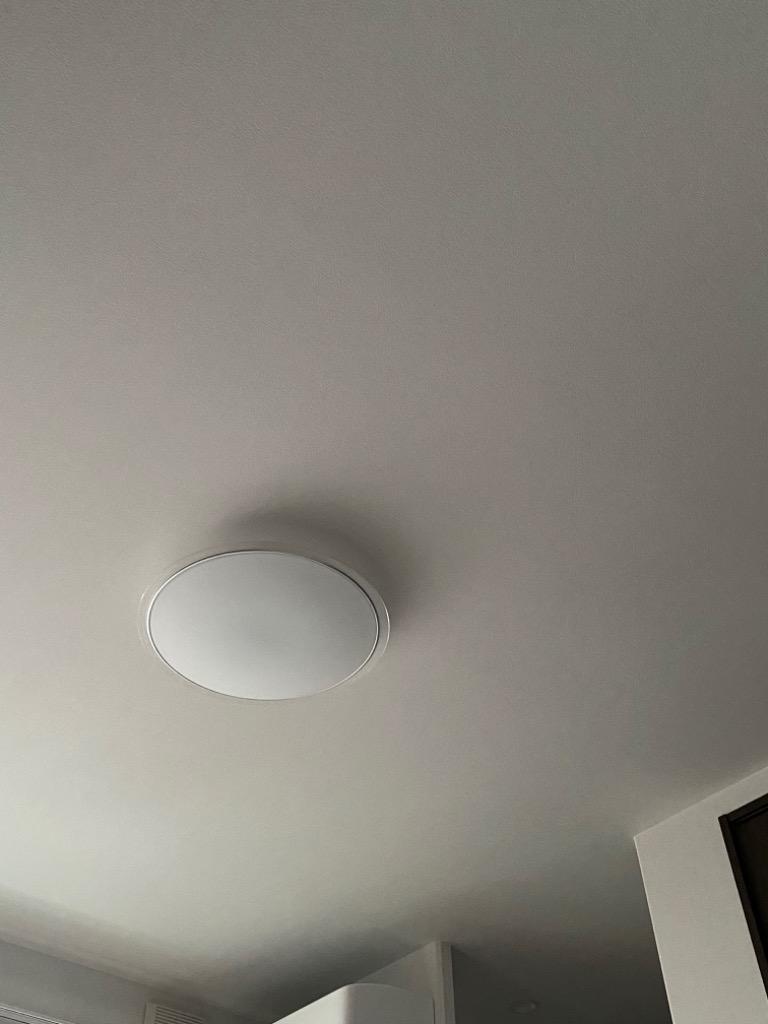 全体のレビュー画像 | 1-0