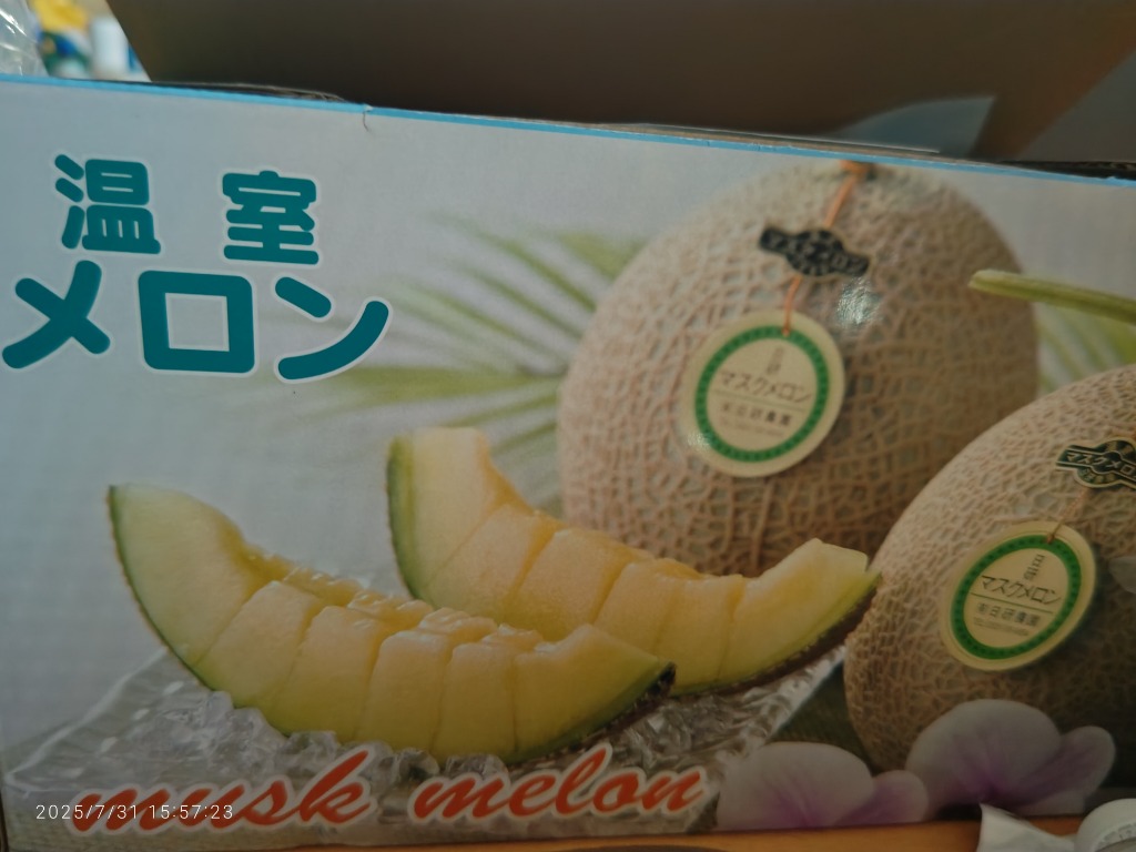 マスクメロン マスクメロン 2玉×約1.3kg: とさのさとアグリコレット|【JA