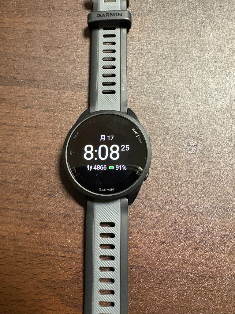 GARMIN ガーミン Forerunner 165 フォアランナー GPS ランニング GARMIN ガーミン Forerunner 165 フォアランナー GPS ランニング