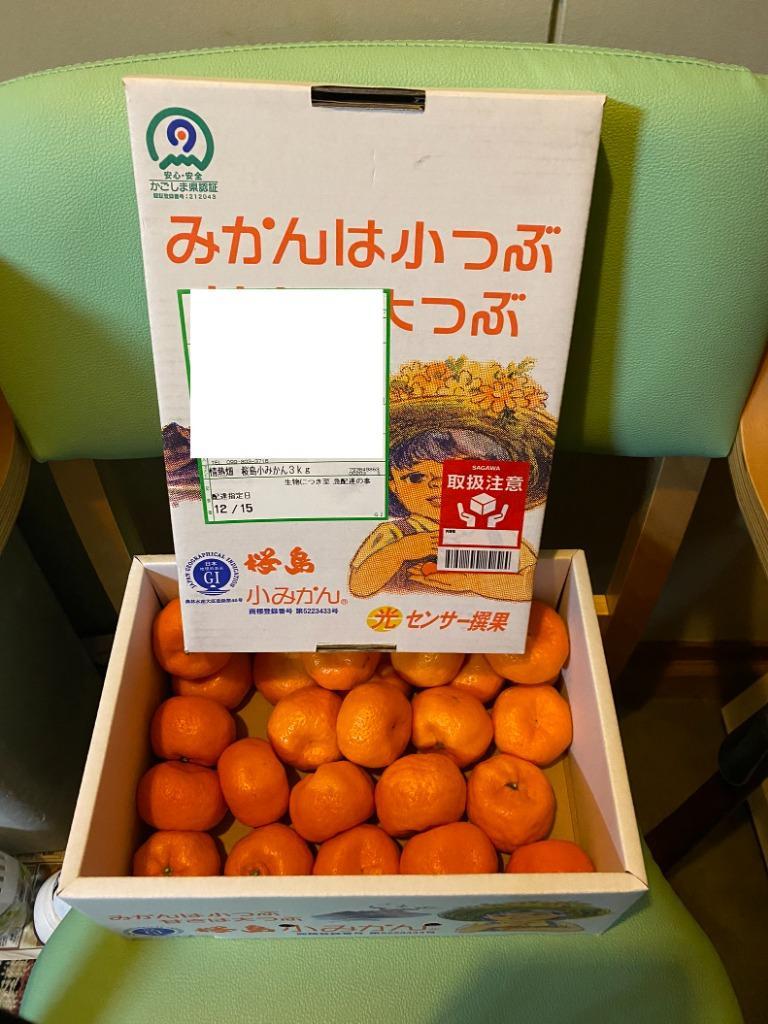 終売間近) みかん 鹿児島 小みかん 桜島 小ミカン 3kg 1箱 送料