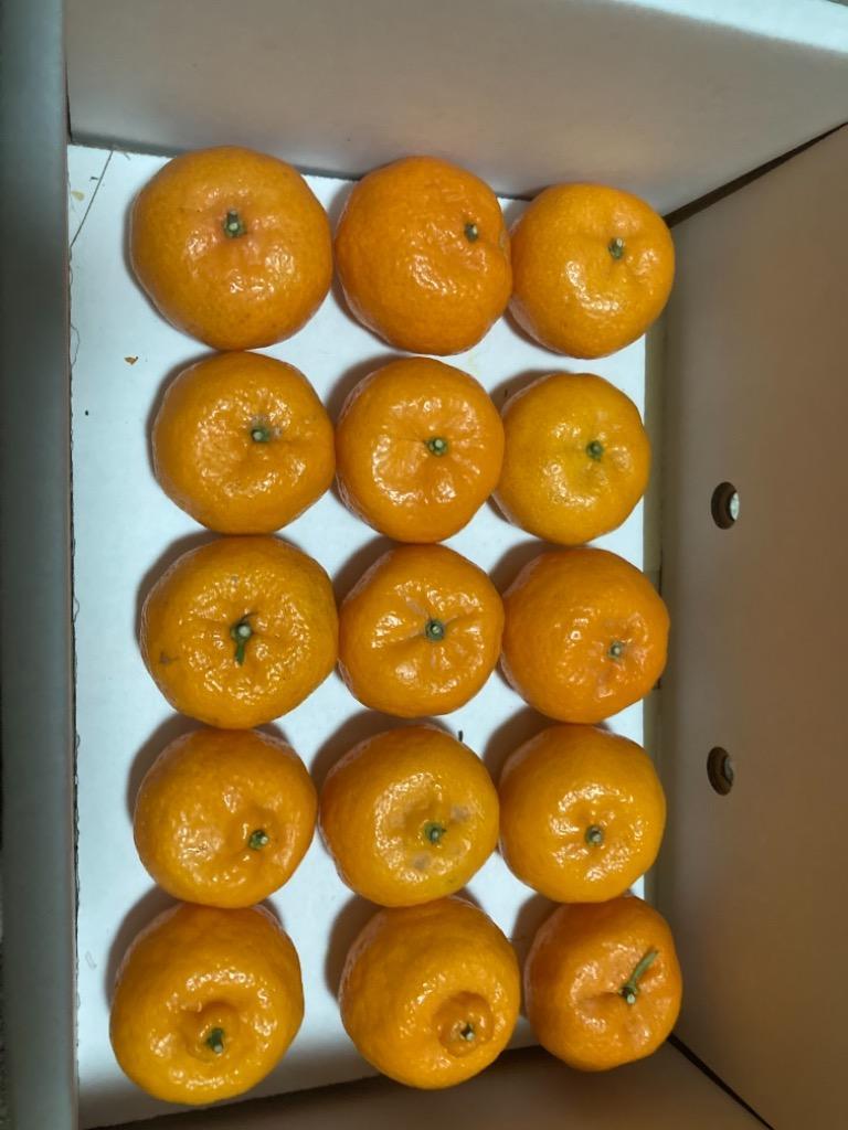 終売間近) みかん 鹿児島 小みかん 桜島 小ミカン 3kg 1箱 送料 終売間近) みかん 鹿児島 小みかん 桜島 小ミカン 3kg 1箱 送料