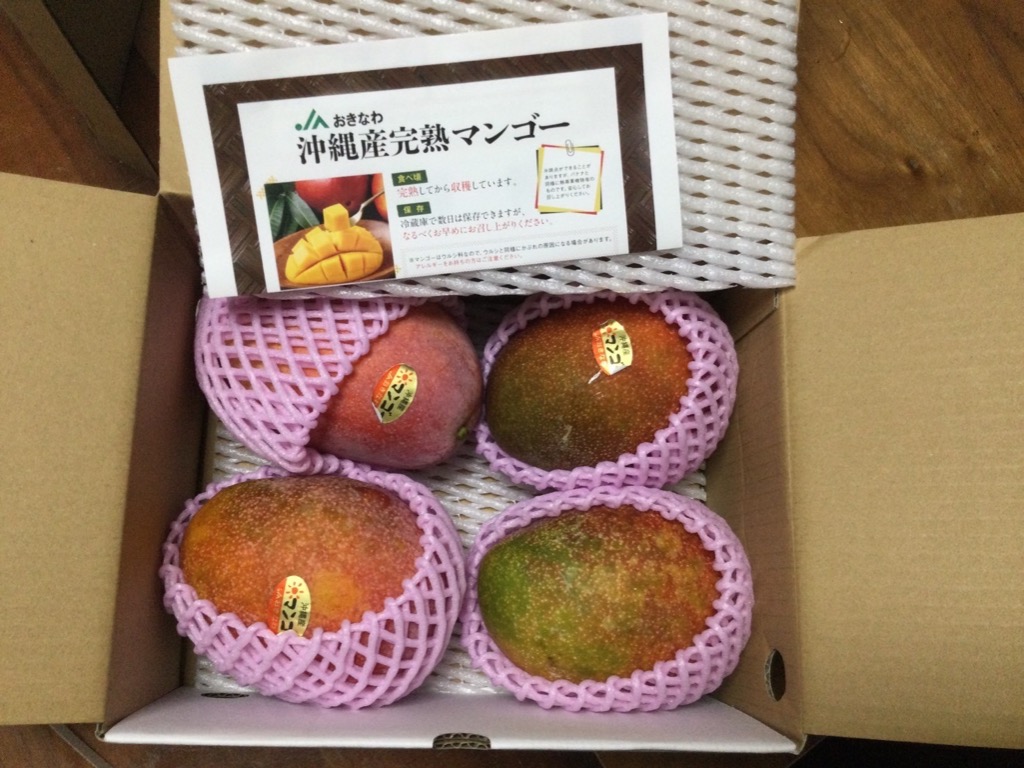 ポイント2倍) マンゴー 沖縄 家庭用 訳あり JAおきなわ 完熟