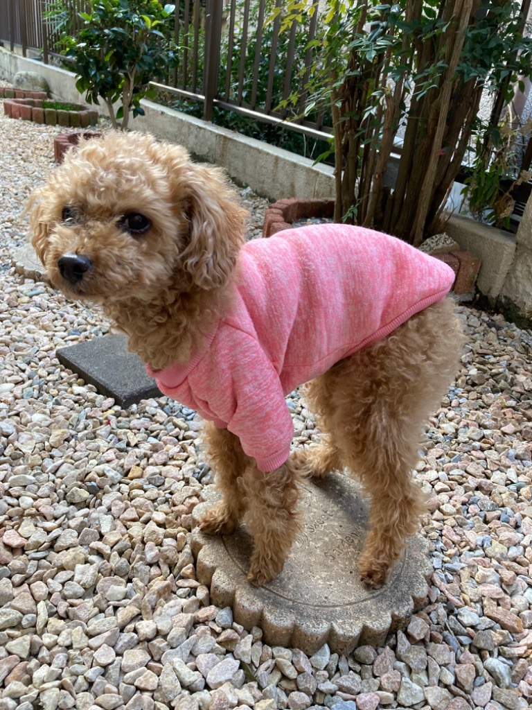 レビュー画像