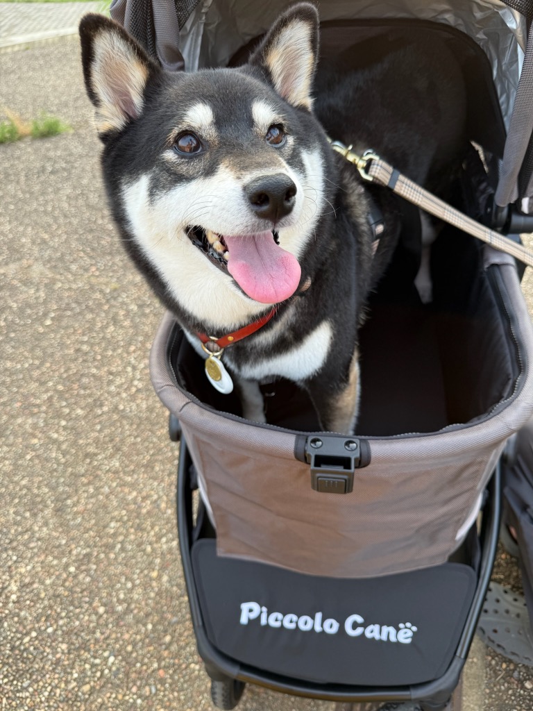新商品】ピッコロカーネ FORTE フォルテ 耐荷重30kg Piccolo Cane K
