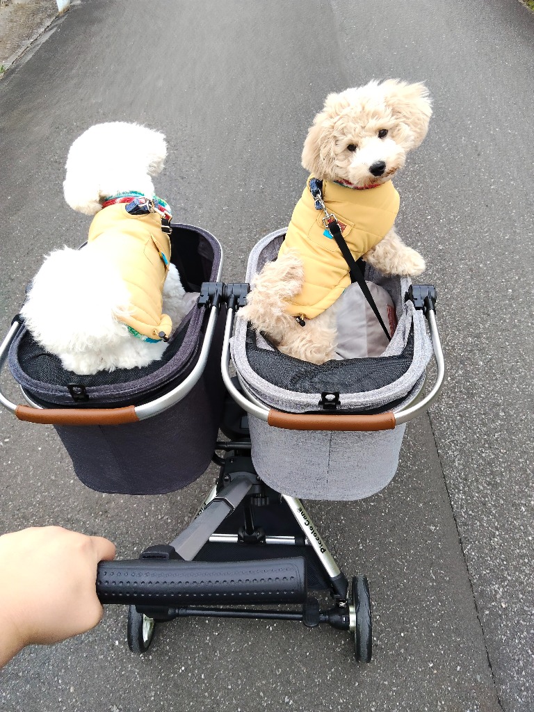 専用 ピッコロカーネ ドッピオ Doppio ペットバギー ペットカート 多頭 楽天市場】【新商品】 ピッコロカーネ ドッピオ Doppio 送料無料